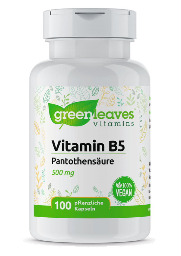 .Vitamin B5 Panthothensäure, 100 Kps. (53 g)