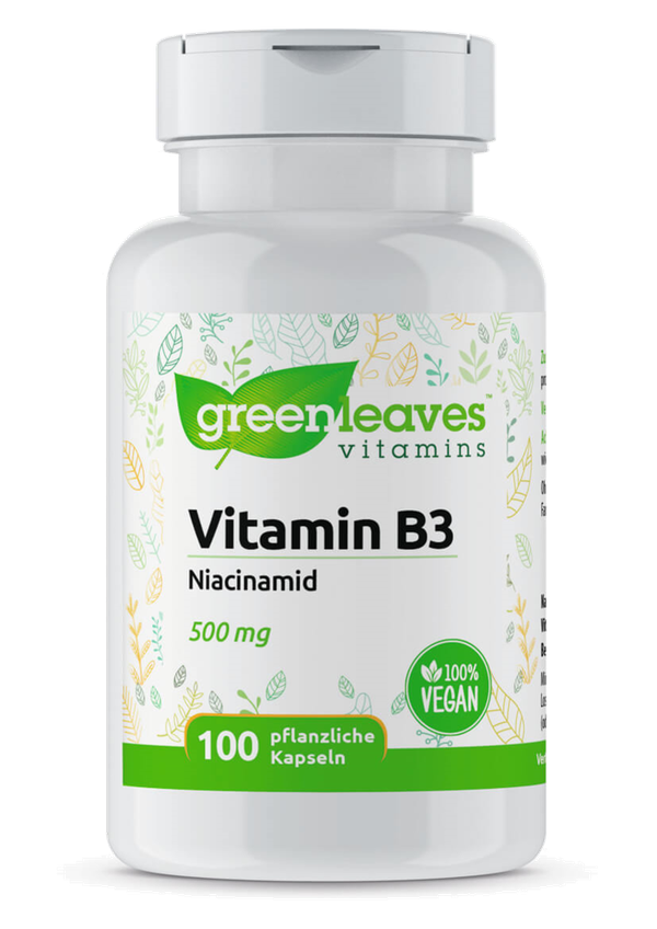 Vitamin B3 Niacinamid 500 mg, 100 Kps. (60 g)