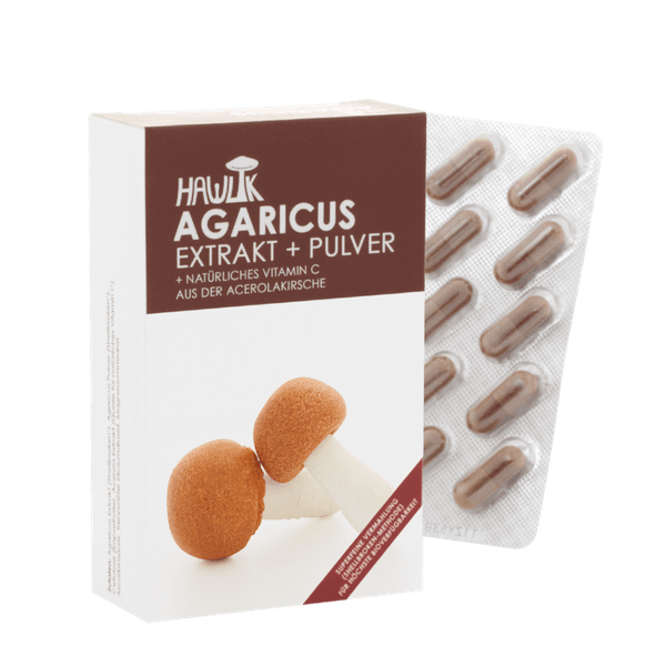 Agaricus Extrakt und Pulver, 31 g